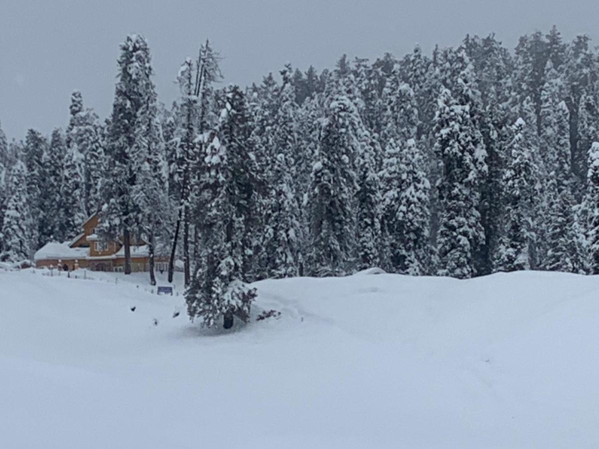 Gulmarg Ski Hill Resort Kültér fotó